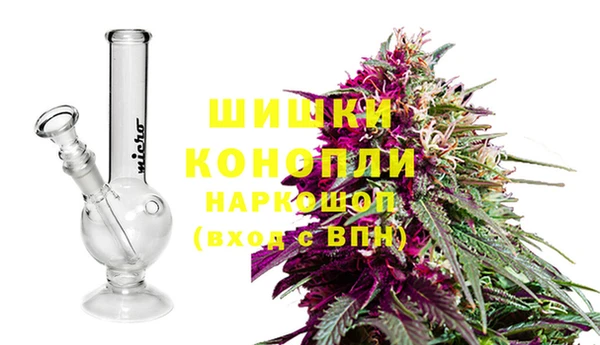Альфа ПВП Лабытнанги
