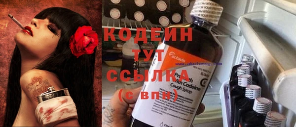 прущий лед Лагань