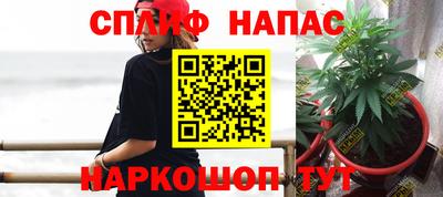 Альфа ПВП Заводоуковск