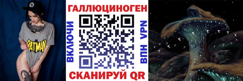 блэк спрут как зайти цены Сосновый Бор Псилоцибиновые грибы Psilocybe