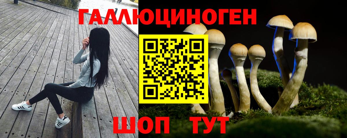 Псилоцибиновые грибы прущие грибы  Вход с VPN  Сосновый Бор 