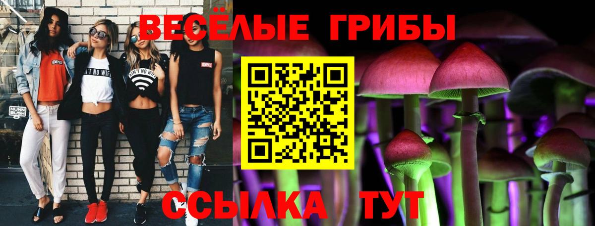 Галлюциногенные грибы мицелий Сосновый Бор