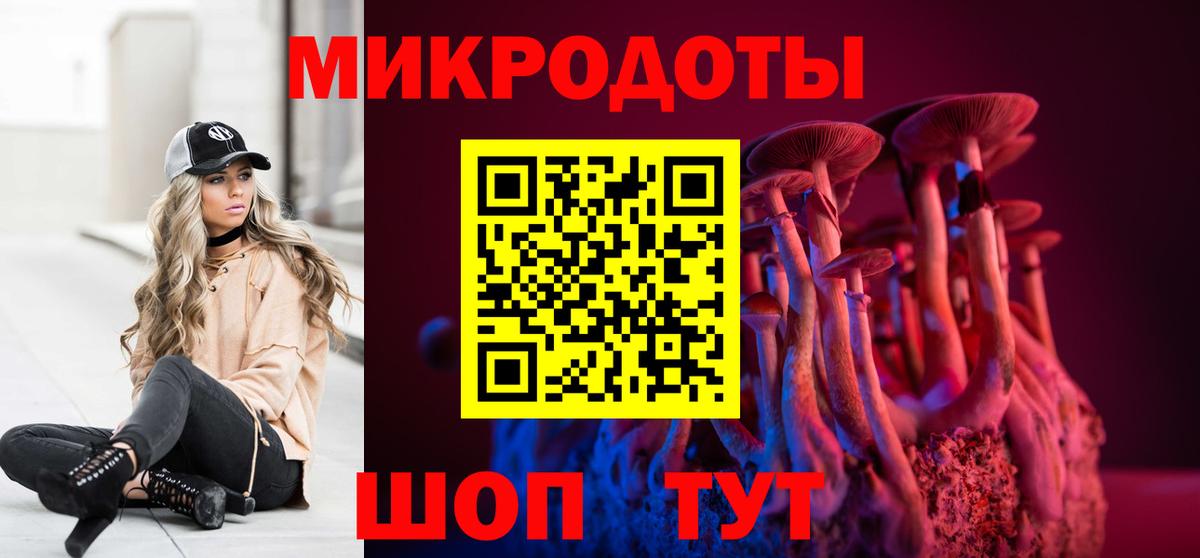 Галлюциногенные грибы Psilocybine cubensis Сосновый Бор